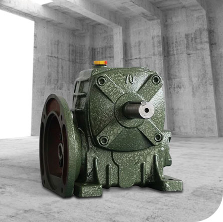 ডাব্লুপি ওয়ার্ম গিয়ার রিডুসার